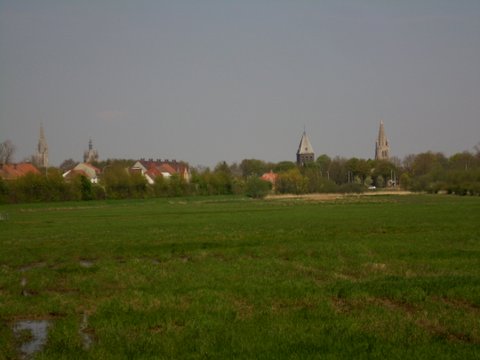 Foto bij dit nieuwsbericht
